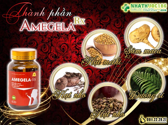 amegela RX thành phần