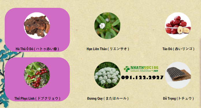 thành phần kichi hair