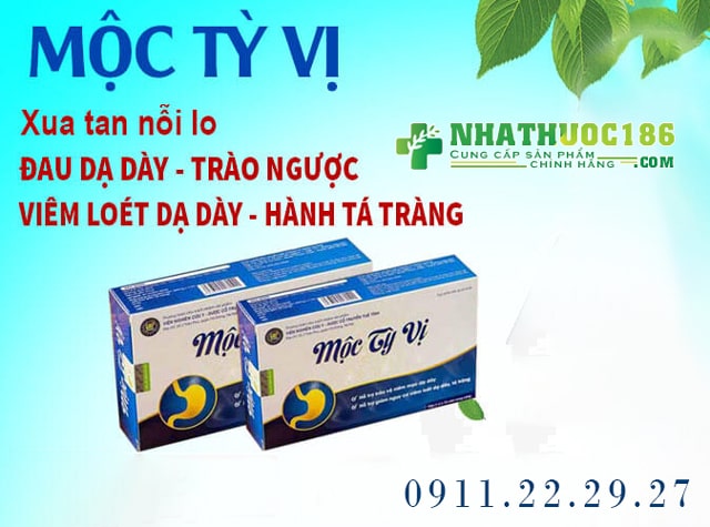 công dụng mộc tỳ vị