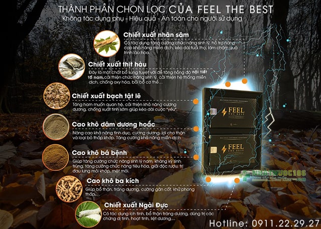 thành phần feel the best