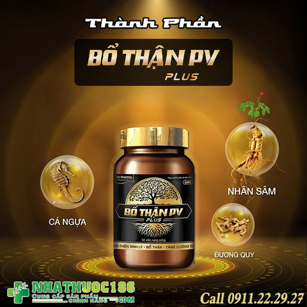 thành phần bổ thận pc plus