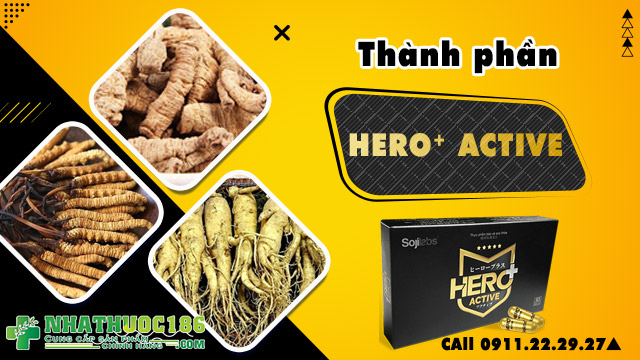 thành phần hero active