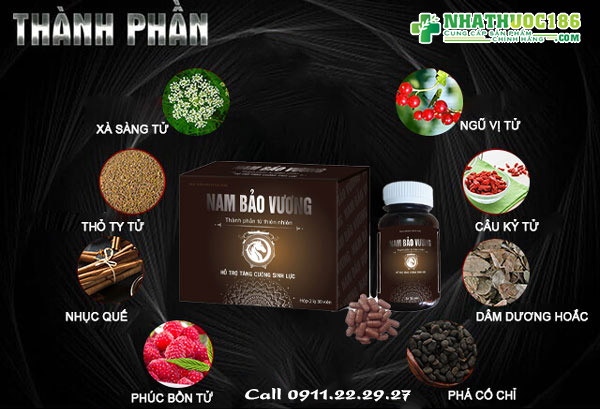 thành phần nam bảo vương
