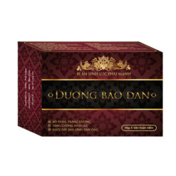 dương bảo đan avt