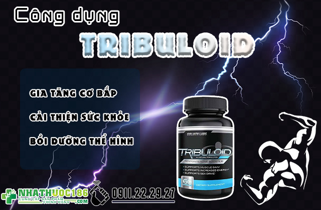Tribuloid công dụng