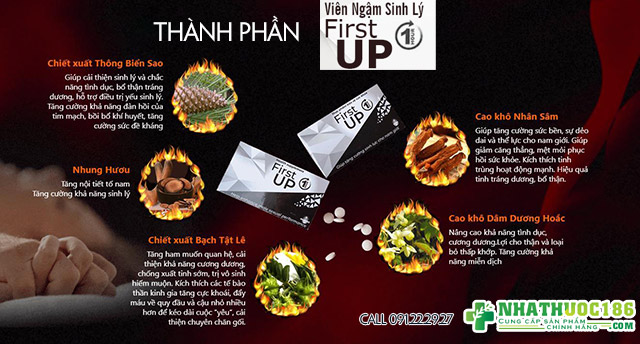 thành phần first up