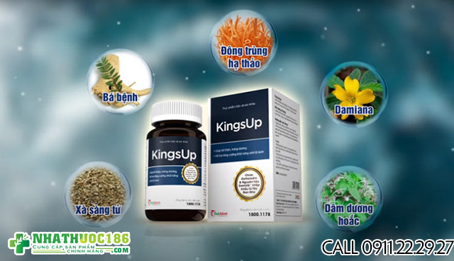 thành phần kingsup