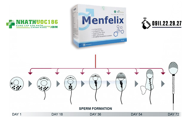 Menfelix sử dụng trong bao lâu?