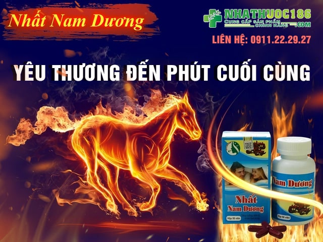 Giới thiệu sản phẩm Nhất Nam Dương