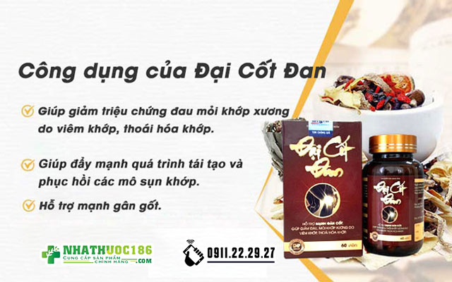 đại cốt đan công dụng
