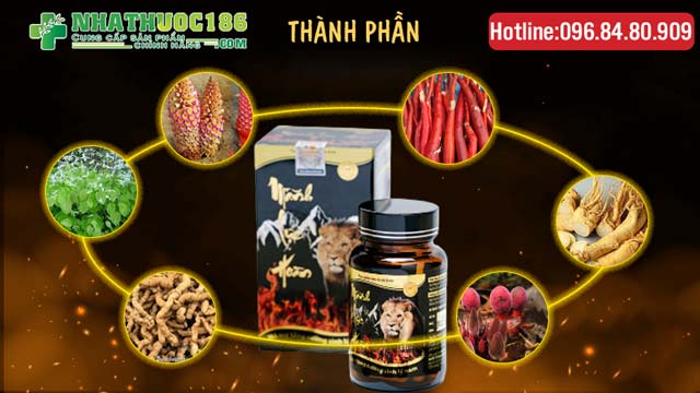 Thành phần Sản phẩm Mãnh Lực Hoàn