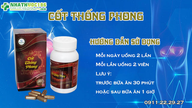 hướng dẫn sử dụng cốt thống phong