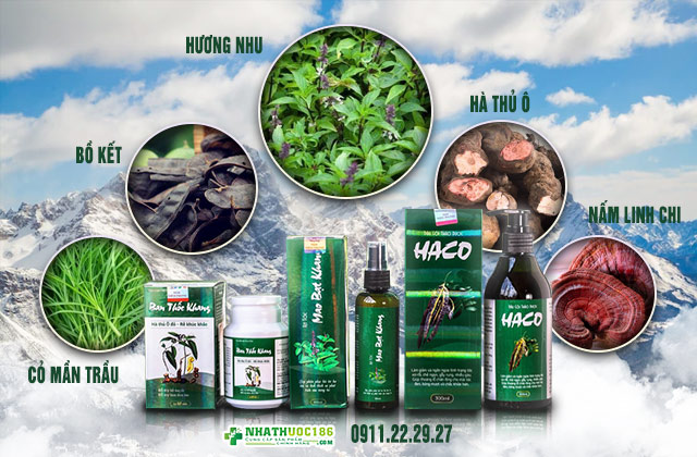 Thành phần của bộ ba sản phẩm Tóc Haco