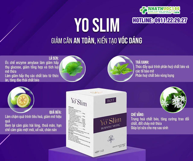 Thành phần có trong viên giảm cân Yo Slim