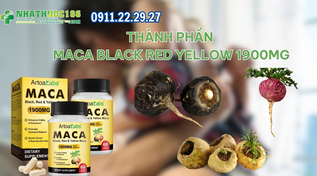 Thành phần Maca Black Red Yellow 1900mg