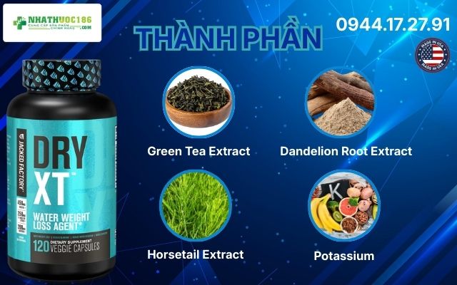 Phân tích thành phần Sạch trong Dry XT