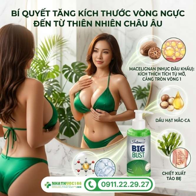 Thành phần gel làm tăng kích thước vòng ngực Big Bust 150ml