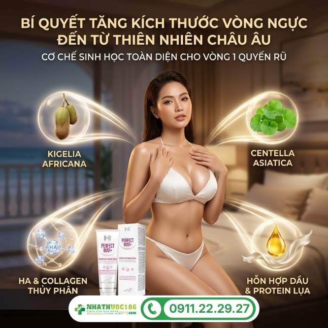 Thành phần gel làm tăng kích thước vòng ngực Perfect Bust+ 150ml